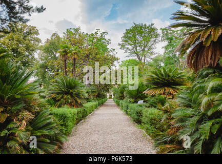 Orto botanico di Pisa (Orto Botanico dell Universita di Pisa), die älteste Universität der botanische Garten der Welt, Toskana, Italien Stockfoto