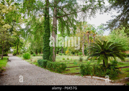 PISA, Italien - 30. MAI 2018: Orto botanico di Pisa (Orto Botanico dell Universita di Pisa), die älteste Universität der Botanische Garten in der Welt Stockfoto