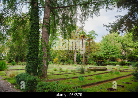 PISA, Italien - 30. MAI 2018: Orto botanico di Pisa (Orto Botanico dell Universita di Pisa), die älteste Universität der Botanische Garten in der Welt Stockfoto