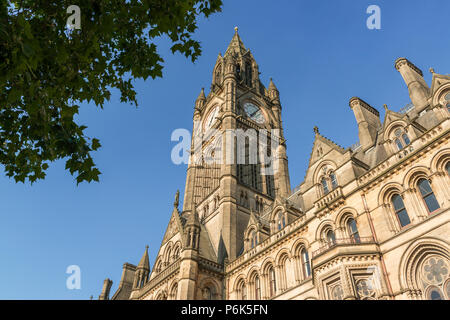 Rathaus von Manchester in der Albert Square Gegend der Stadt, mit Blätter in den Vordergrund. Stockfoto