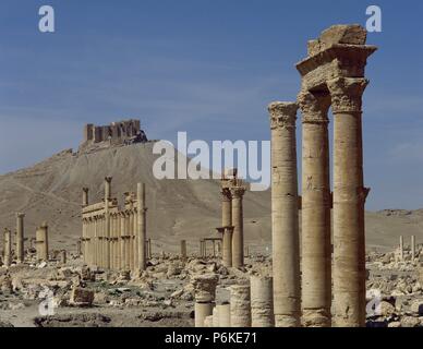 Syrien. Ruinen von Palmyra. Naher Osten. Große Kolonnade. 3. Jahrhundert n. Im Hintergrund, Festung Qalat. Oase Tadmor. Stockfoto