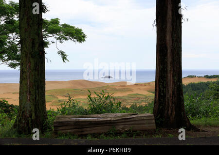 Holzbank zwischen Bäumen mit Blick auf Tottori Sanddünen mit kleinen Insel in der Ferne Stockfoto