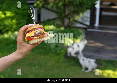 Woman's Hand mit einem hausgemachten Burger. Stockfoto