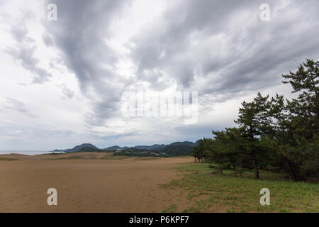 Sturmwolken über Kiefernwald am Rande von Tottori Sanddünen Stockfoto