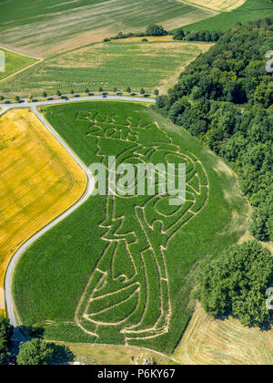 Mais Labyrinth mit Russischen Fußball-Emblem in Cappenberg, Bauernhof Lünemann, Selm, Ruhr, Nordrhein-Westfalen, Deutschland, DEU, Europa, Luftaufnahme, Vögel - Augen vi. Stockfoto