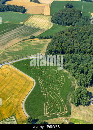 Mais Labyrinth mit Russischen Fußball-Emblem in Cappenberg, Bauernhof Lünemann, Selm, Ruhr, Nordrhein-Westfalen, Deutschland, DEU, Europa, Luftaufnahme, Vögel - Augen vi. Stockfoto