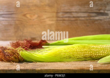 Nahaufnahme eines Junge Maiskolben mit seidenen Quaste im mittleren Westen der cornfield Stockfoto
