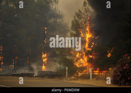 Clearlake Oaks, Kalifornien, USA. 1. Juli 2018. Die pawnee Brand in Lake County zeigten erhöhte Feuer Aktivität über das Wochenende. Red Flag Warnungen waren in Kraft und starke Winde und niedriger Luftfeuchtigkeit auf die erhöhte Brandgefahr Verhalten beigetragen. Credit: Neal Gewässer/ZUMA Draht/Alamy leben Nachrichten Stockfoto