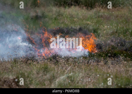 Lancashire, UK. 1. Juli 2018 - Die wachsende moorland Feuer auf Winter Hill und Rivington Pike, die eine Anzahl von Tagen gestartet. Feuer Besatzungen aus über Großbritannien haben im Winter Hill konvergierten die Flamme, die Meter pro Stunde wachsen zu steuern. Lancashire Feuer und Rettung und Lancashire Polizei führen die Antwort auf die 'Major Incident'. Credit: Benjamin Wareing/Alamy leben Nachrichten Stockfoto