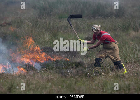 Lancashire, UK. 1. Juli 2018 - Weibliche Feuerwehrleute versuchen, den wachsenden moorland Feuer auf Winter Hill und Rivington Pike, die eine Anzahl von Tagen gestartet wurde. Feuer Besatzungen aus über Großbritannien haben im Winter Hill konvergierten die Flamme, die Meter pro Stunde wachsen zu steuern. Lancashire Feuer und Rettung und Lancashire Polizei führen die Antwort auf die 'Major Incident'. Credit: Benjamin Wareing/Alamy leben Nachrichten Stockfoto