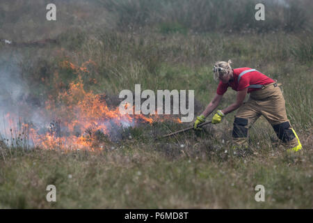 Lancashire, UK. 1. Juli 2018 - Weibliche Feuerwehrleute versuchen, den wachsenden moorland Feuer auf Winter Hill und Rivington Pike, die eine Anzahl von Tagen gestartet wurde. Feuer Besatzungen aus über Großbritannien haben im Winter Hill konvergierten die Flamme, die Meter pro Stunde wachsen zu steuern. Lancashire Feuer und Rettung und Lancashire Polizei führen die Antwort auf die 'Major Incident'. Credit: Benjamin Wareing/Alamy leben Nachrichten Stockfoto