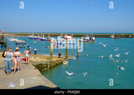 Folkestone Harbour, Fish Market Quay, Folkestone, Kent, Südostküste, England, Großbritannien Stockfoto