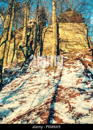 Verschneiten Wald Straße im frühen Winter Wald. Sonnigen Tag. Frischen Pulverschnee mit Farben der Blätter gelb-grüne Blätter auf den Bäumen strahlend in der Sonne Stockfoto