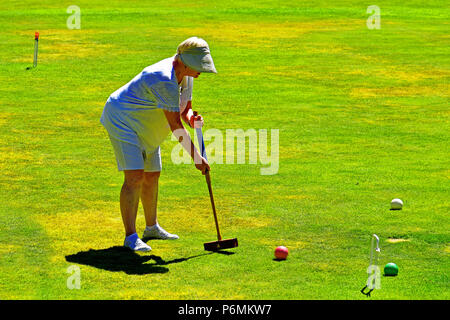 Belsay Hall Croquet Club Match lady Player Stockfoto