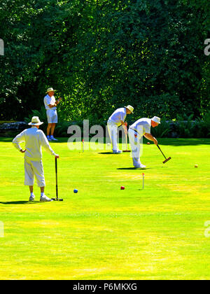 Belsay Hall Croquet Club Match Herren Spieler Stockfoto
