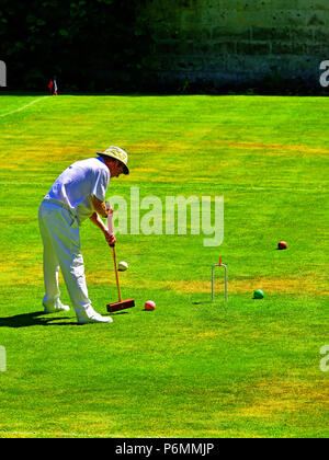 Belsay Hall Croquet Club Match gentleman Player Stockfoto