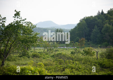 Zwei Kanus navigieren Sie die Sacandaga River in den Adirondack Mountains, NY USA Anfang Sommer auf einem Diesigen Nachmittag. Stockfoto