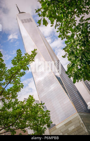 Das One World Trade Center in Manhattan, New York City, durch die Bäume. Stockfoto