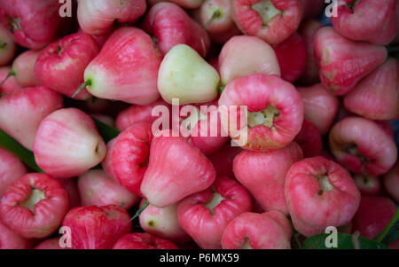 Ganz frischen Haufen Jumbu Stockfoto
