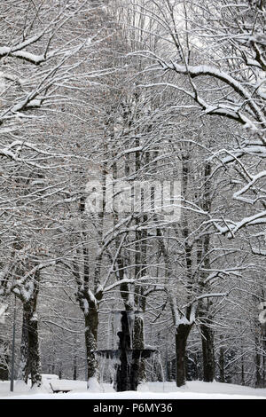 Le Fayet Parc Thermal. Bäume unter Schnee. Frankreich. Stockfoto