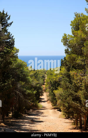 Wald Weg zum Strand in Portoselvaggio Nationalpark, Italien führt. Stockfoto