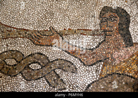 Detail der Mosaiken auf dem Boden von Otranto Duomo (Kathedrale), Italien. Stockfoto