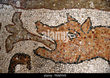 Detail der Mosaiken auf dem Boden von Otranto Duomo (Kathedrale), Italien. Stockfoto