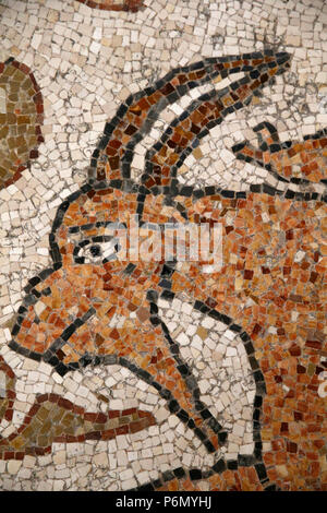 Detail der Mosaiken auf dem Boden von Otranto Duomo (Kathedrale), Italien. Stockfoto