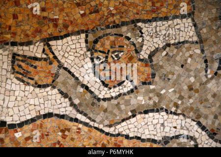 Detail der Mosaiken auf dem Boden von Otranto Duomo (Kathedrale), Italien. Stockfoto