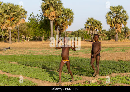 Togolesische Kinder in einem Feld im Karsome, Togo. Stockfoto