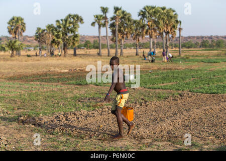 Togolesische junge Bewässerung ein Feld in Karsome, Togo. Stockfoto