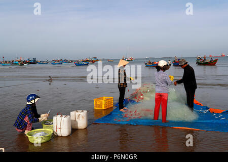 Fischer Instandsetzung Fischernetze bei Tam Duong Strand. Vung Tau. Vietnam. Stockfoto