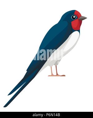 Schwalbe Vogel. Flache Cartoon Character Design. Bunter Vogel Symbol. Cute sitzen schlucken. Vector Illustration auf weißem Hintergrund. Stock Vektor