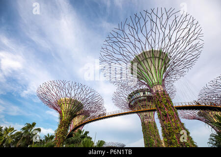 Singapur - May 22, 2018: Super Tree Grove Anlagenstrukturen im Garten durch die Bucht in Singapore Downtown während des Sonnenuntergangs. Stockfoto