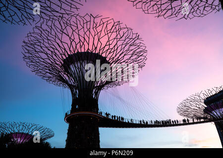 Singapur - May 22, 2018: Super Tree Grove Anlagenstrukturen im Garten durch die Bucht in Singapore Downtown während des Sonnenuntergangs. Stockfoto