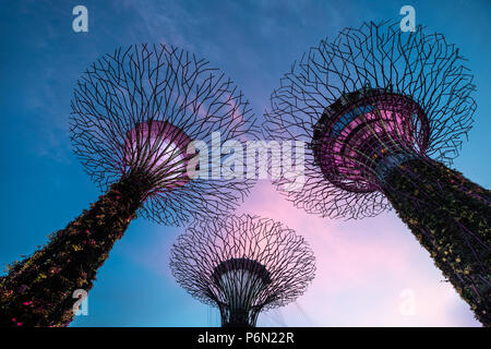 Singapur - May 22, 2018: Super Tree Grove Anlagenstrukturen im Garten durch die Bucht in Singapore Downtown während des Sonnenuntergangs. Stockfoto