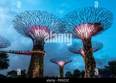 Singapur - May 22, 2018: Super Tree Grove Anlagenstrukturen im Garten durch die Bucht in Singapore Downtown nach Sonnenuntergang beleuchtet für eine Licht und Musik Stockfoto