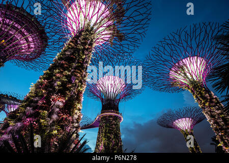 Singapur - May 22, 2018: Super Tree Grove Anlagenstrukturen im Garten durch die Bucht in Singapore Downtown nach Sonnenuntergang beleuchtet für eine Licht und Musik Stockfoto