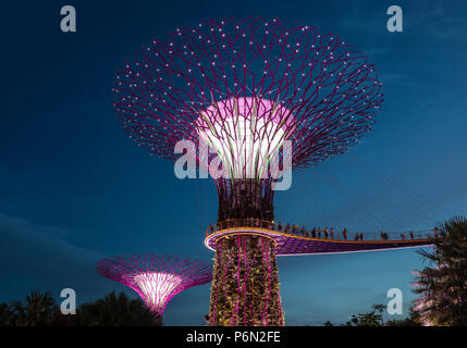Singapur - May 22, 2018: Super Tree Grove Anlagenstrukturen im Garten durch die Bucht in Singapore Downtown nach Sonnenuntergang beleuchtet für eine Licht und Musik Stockfoto