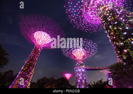 Singapur - May 22, 2018: Super Tree Grove Anlagenstrukturen im Garten durch die Bucht in Singapore Downtown nach Sonnenuntergang beleuchtet für eine Licht und Musik Stockfoto