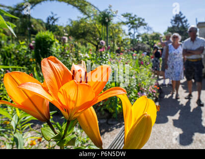 Ältere Touristen, die in der Garten am Haus des impressionistischen Malers Claude Monet in Giverny, Eure, Normandie, Frankreich Stockfoto