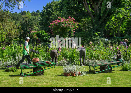 Gärtner/Gartenbauer im Sommer im Garten arbeiten am Haus des impressionistischen Malers Claude Monet in Giverny, Eure, Normandie, Frankreich Stockfoto