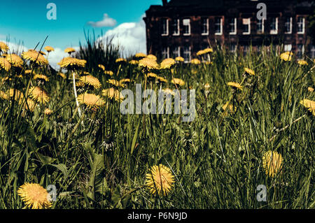 Sir John Maxwell Grundschule, Pollokshaws. Glasgow, Schottland. Stockfoto