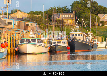 Kommerzielle Fischerboote in Menemsha Becken angedockt, in dem Fischerdorf Menemsha in Chilmark, Massachusetts auf Martha's Vineyard. Stockfoto