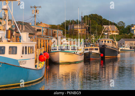 Kommerzielle Fischerboote in Menemsha Becken angedockt, in dem Fischerdorf Menemsha in Chilmark, Massachusetts auf Martha's Vineyard. Stockfoto