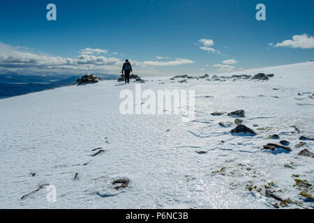 Einem Hügel Walker in der Nähe der Gipfel der Kamm des Sgùrr ein 'Chaorachain im Applecross Hills, Hochland, Schottland, Großbritannien. Stockfoto