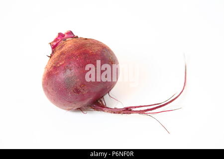 Die rote Bete. Ganze rote Bete auf weißem Hintergrund Stockfoto
