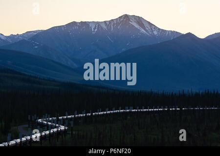 Die Alaska pipeline Schlangen in einem bewaldeten Tal in den Ausläufern der Brooks Mountain Range. Stockfoto