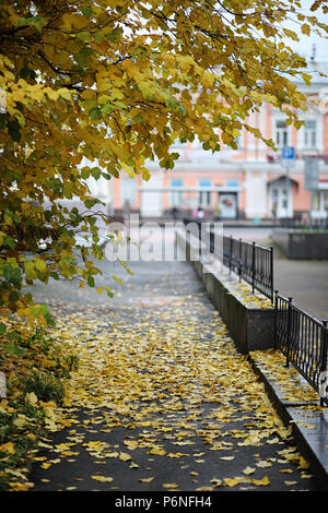 Herbst Landschaft. Die Blätter von den Bäumen in der Stadt. Der Herbst in die Stadt auf der kleinen Straße entlang geschmiedete Zäune Stockfoto