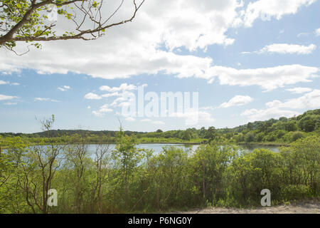 Ein Blick auf Hawes Wasser in der Nähe von Silverdale in Lancashire, die innerhalb der Gang Barrows National Nature Reserve liegt. Dies sollte nicht verwechselt werden mit der mu Stockfoto